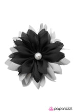 Load image into Gallery viewer, Open Door Jewelry - New Yorks Finest Hair Clip - Paparazzi Accessories
